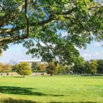 Best Places to Rest in Lambeth South London Guide