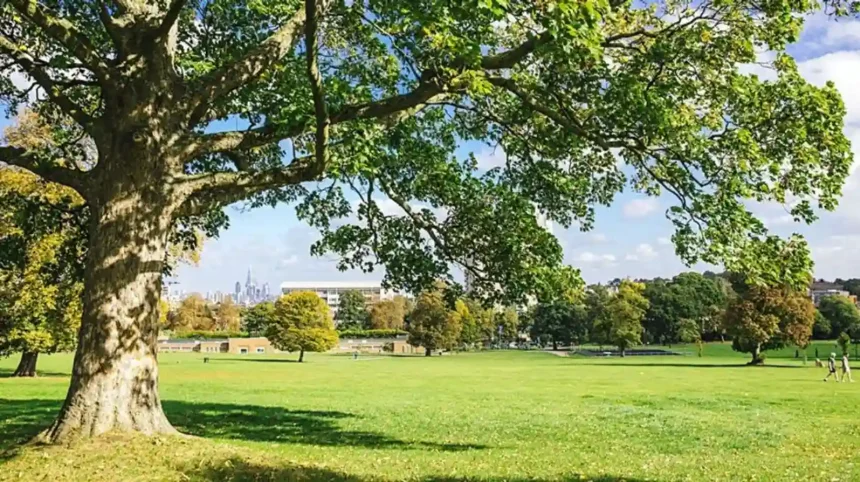 Best Places to Rest in Lambeth South London Guide