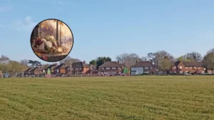 Croydon Schedules Tenth Sandilands Tram Derailment Anniversary Ceremony in 2026