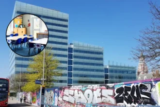 Croydon Schools May Convert Empty Classrooms for SEND Provision, Croydon 2026