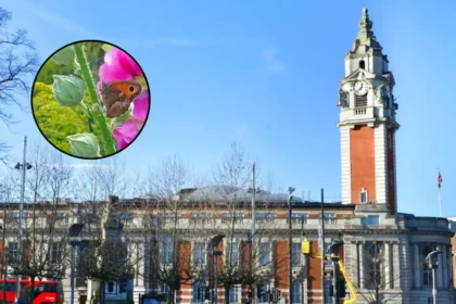 Lambeth Becomes First London Borough Butterfly Friendly Council 2026