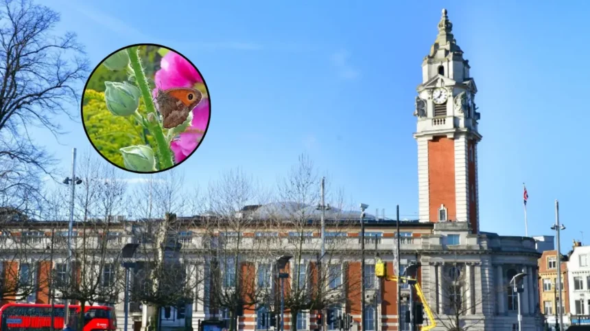 Lambeth Becomes First London Borough Butterfly Friendly Council 2026