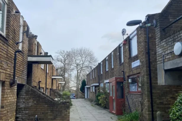 Lambeth Council Saves Housing Estates From Demolition: South London 2026