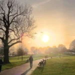 Lambeth Green Spaces Best Parks to Visit in London