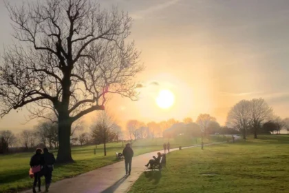 Lambeth Green Spaces Best Parks to Visit in London