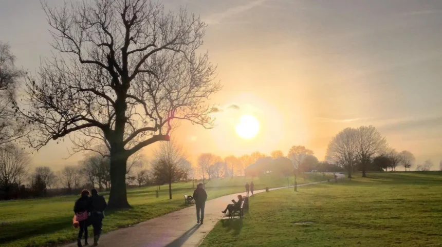 Lambeth Green Spaces Best Parks to Visit in London