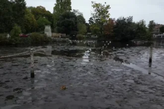 Why Have Historic Carshalton Ponds Drained Again? Carshalton 2026