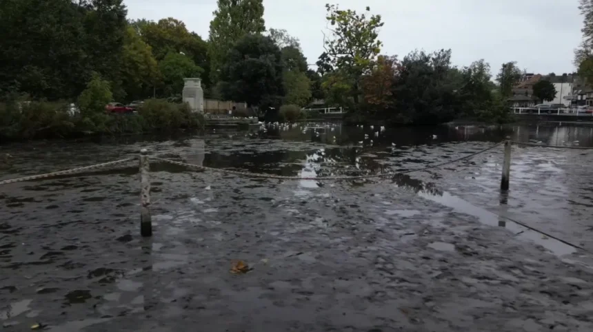 Why Have Historic Carshalton Ponds Drained Again? Carshalton 2026