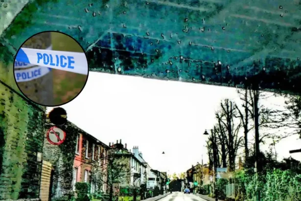 Woman Arrested After Man Hospitalised With Head Injury: Carshalton 2026