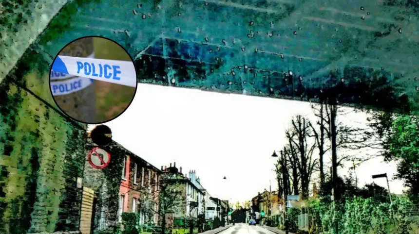 Woman Arrested After Man Hospitalised With Head Injury: Carshalton 2026
