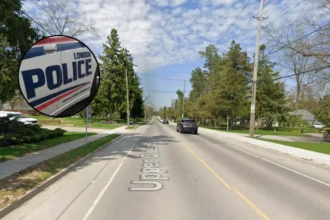 Woman Dead Driver Arrested in Fatal Crash Old South London 2026