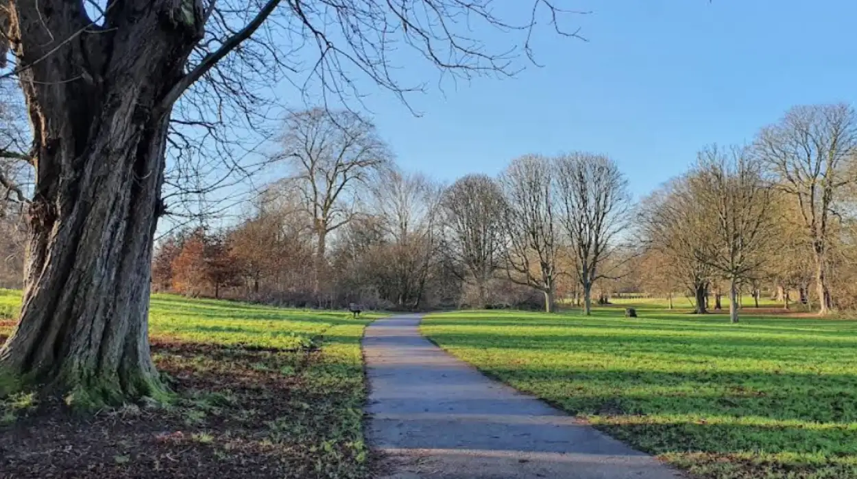 Woman Rushed to Hospital After Beddington Park Medical Incident, Wallington 2026